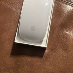Magic Mouse & Keyboard 