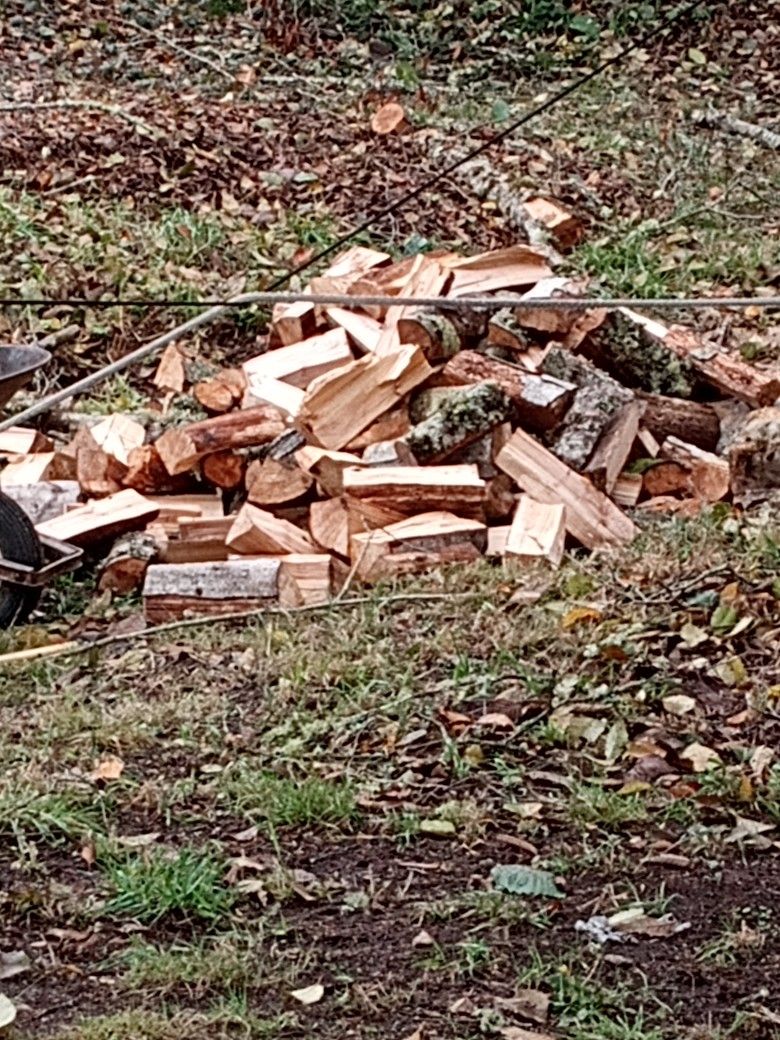 1 Cord Of Firewood