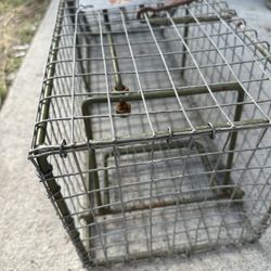 Animal Trap