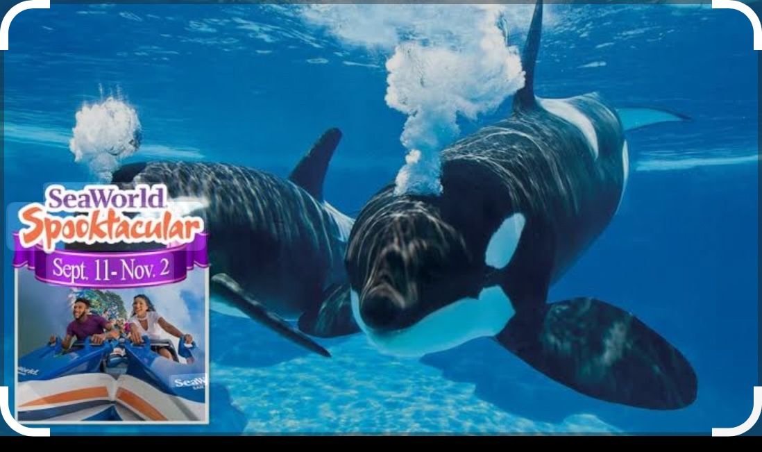 SeaWorld Tickets