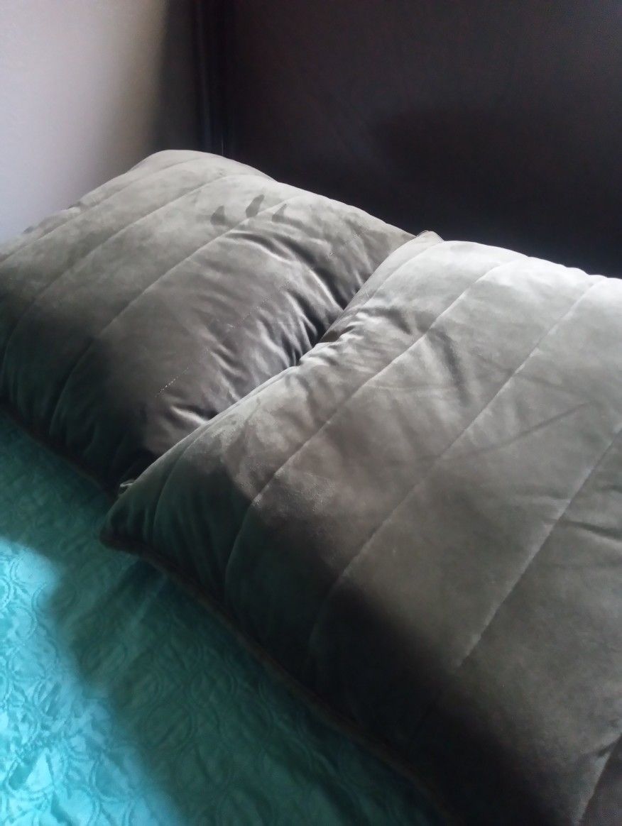 Almohadones Excelente Condición Limpios