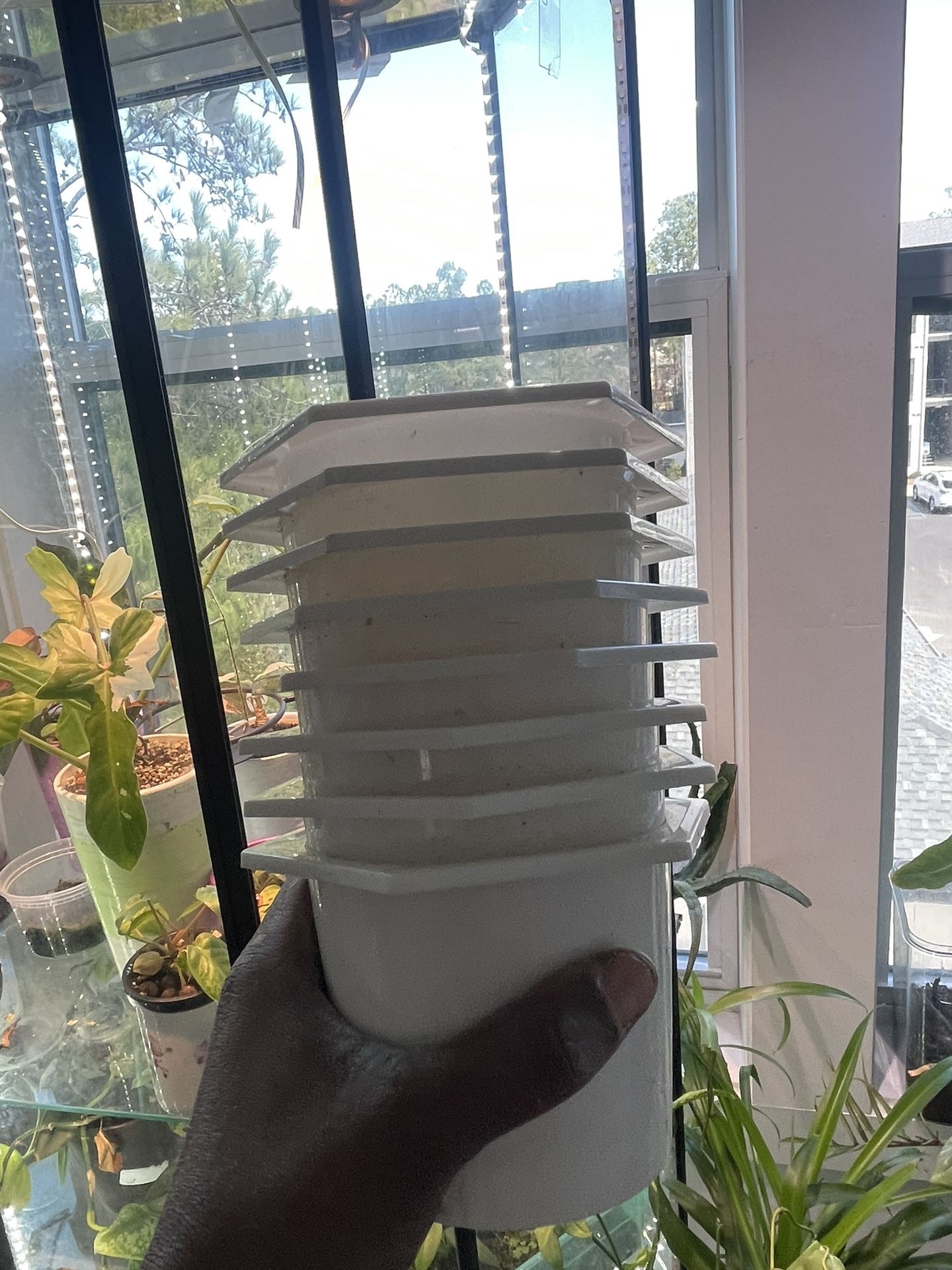 Self Watering Pots