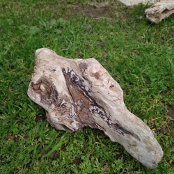Driftwood For Aquariums Terrariums Decor 