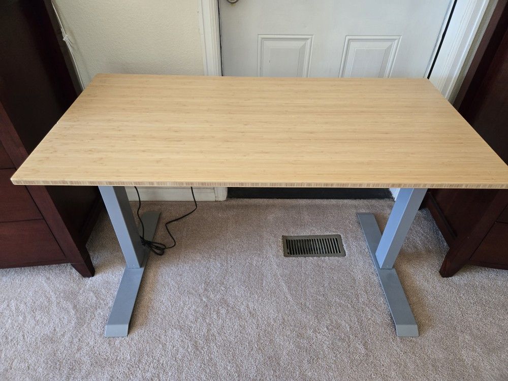 Flexispot Standard Standing Desk (E2/E1)