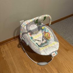 Baby Bouncer 