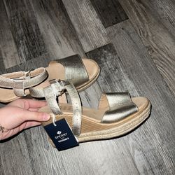 Sperry wedges