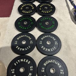 Workout Equipment 