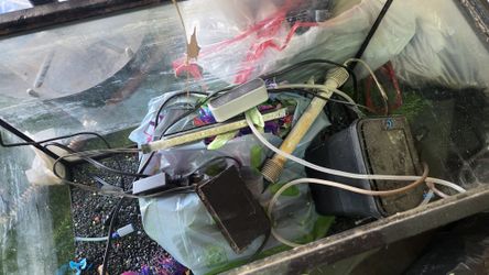 20 Gallon Fishtank