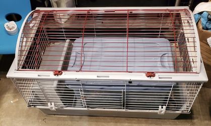 Large Guinea Pig Cage