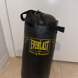 Everlast Punching Bag