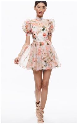 Alice + Olivia