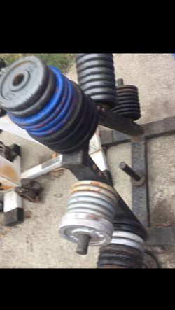 300lbs weights and dumbbells and handles plus weight stand