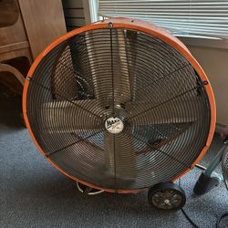Fans