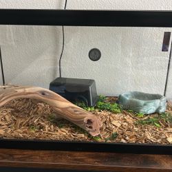 Reptile Cage… 15 Gallon