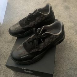 Coach Runner Shoes