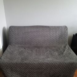 Sleeper Sofa - $250