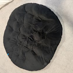 Papasan Cushion From World Market
