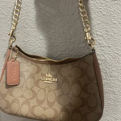 Purse Shoulder Bag