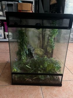 Reptile enclosure