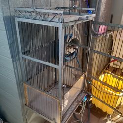 Parrot Cage