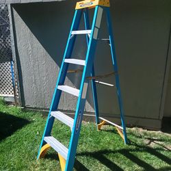 Werner Ladder 250lbs Weight Capacity 6' Foot Tall