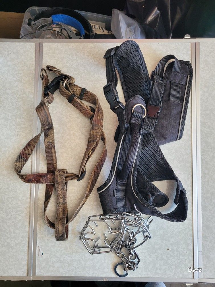 Big Dog Harnesses And Collar