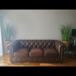 Vintage Leather Sofa & Decorative Plants Set