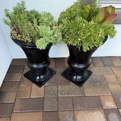 2 Outdoor Large Flower Planters With Succulents