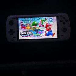 Ayn Odin 2 (Pro Model)