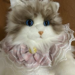 Cat Bag
