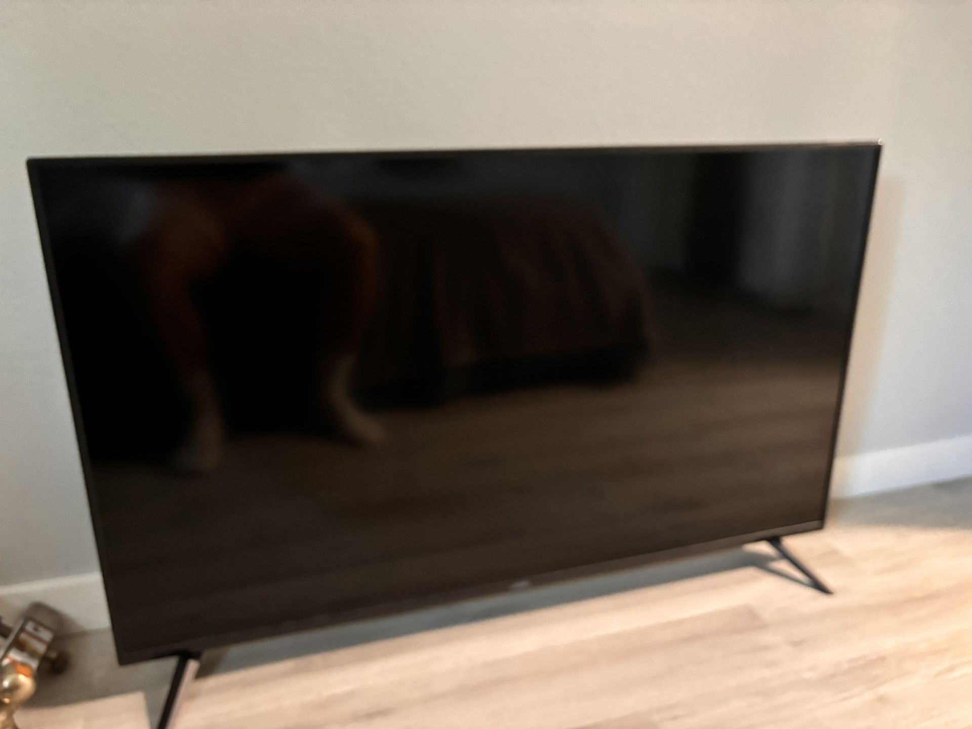 50” Flatscreen Vizio