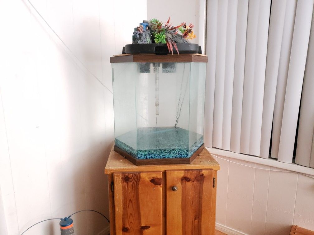 55 Gallon Hexagon Fish Tank Aquarium