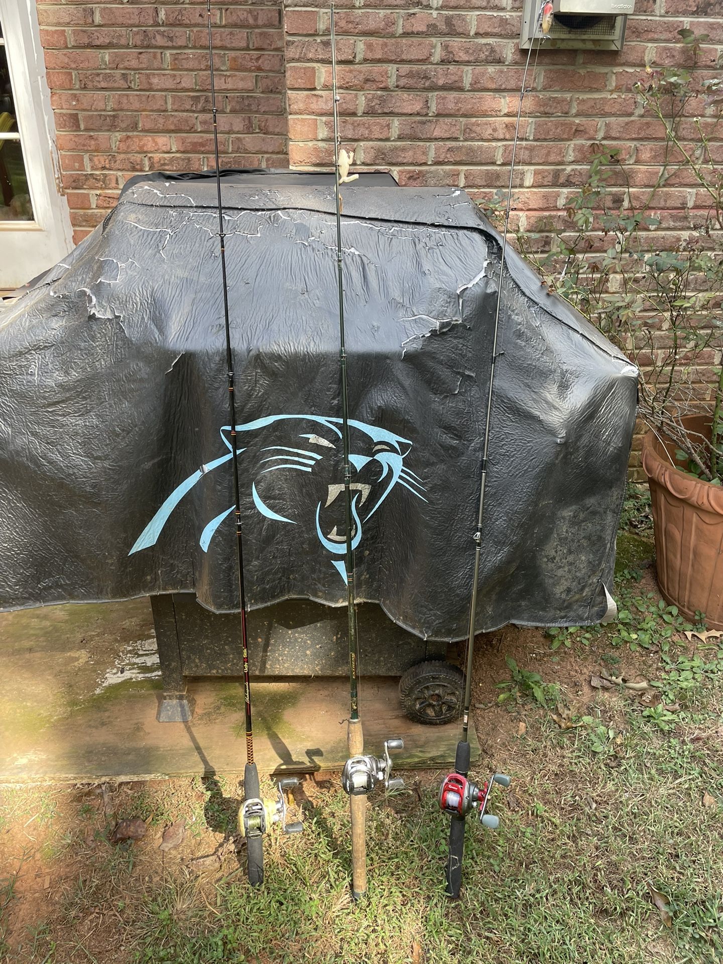 Bait Cast Rod And Reels