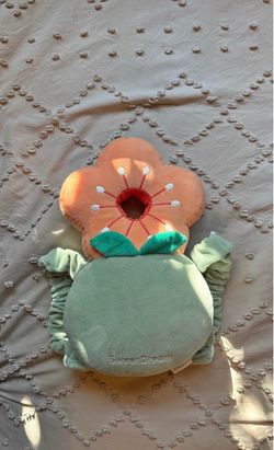 Baby walking backpack
