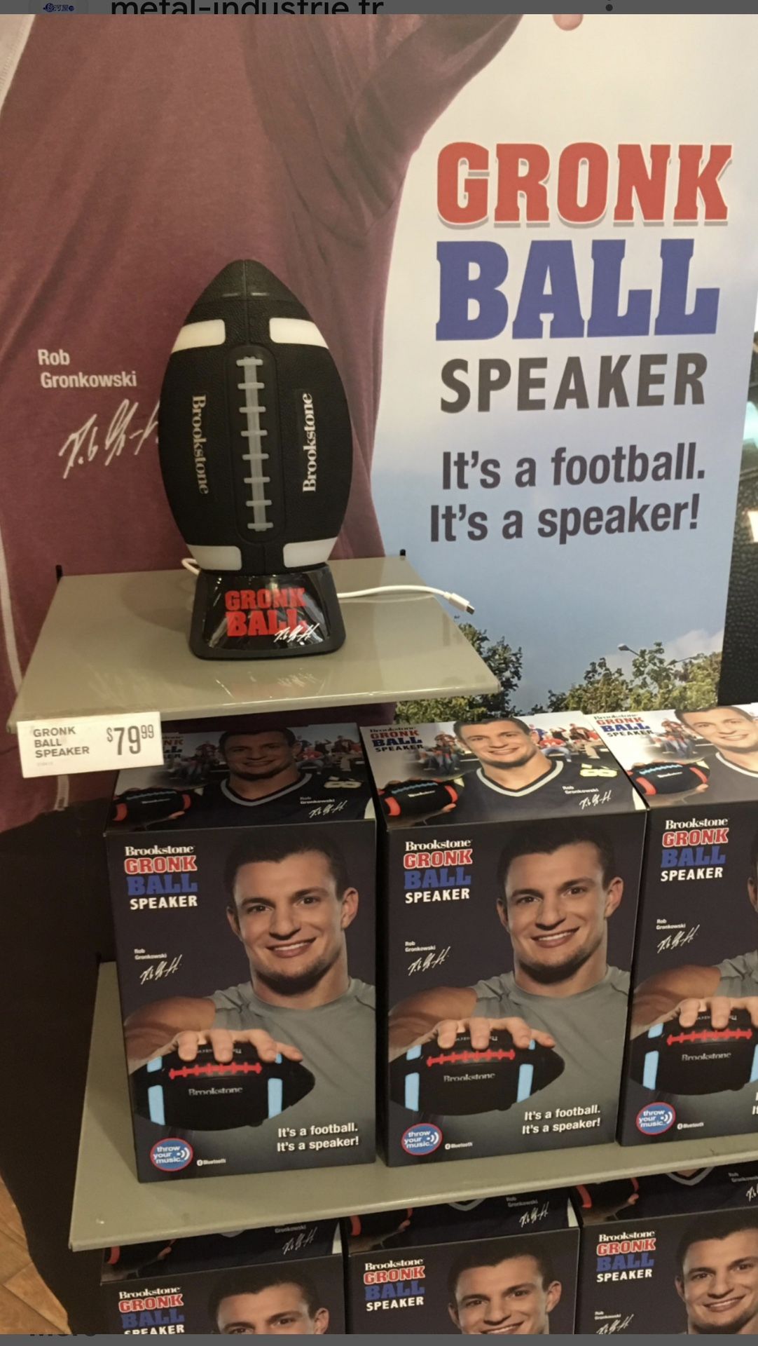 Brand New Grunt Brook Stone Light Up Speaker