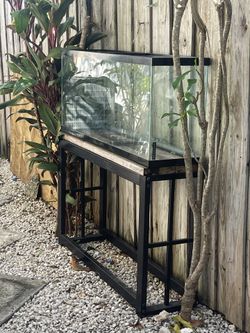$50. 55 Gal With Aluminum Stand Like New Have Tops