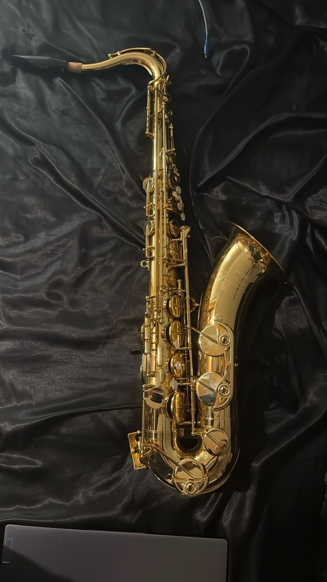 Tenor Saxophone π·