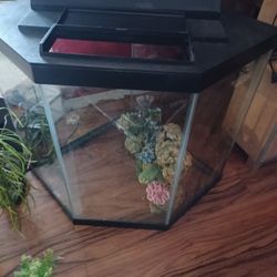 Corner Fish Tank Octagon 30 To 50  Gallons