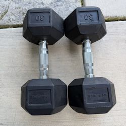 SET OF 30lb DUMBBELLS