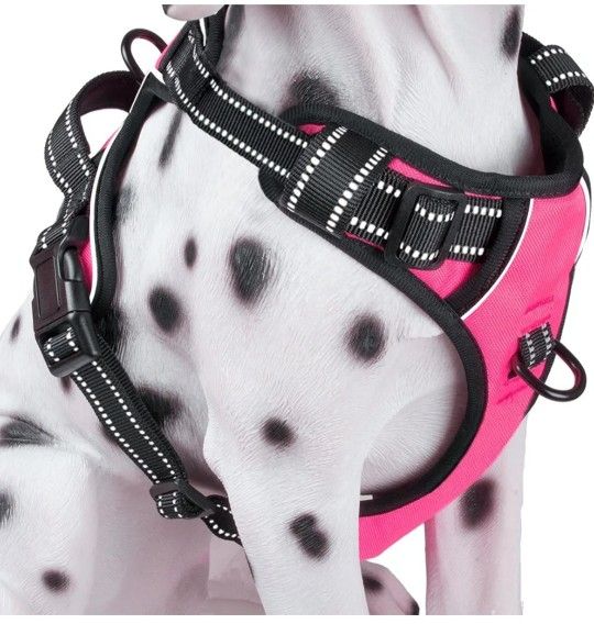 Dog Harness For Medium Dogs