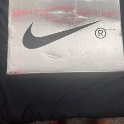 Off White Nike Dunk Low 