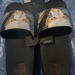 Skateboard Slides  Brand New !!!