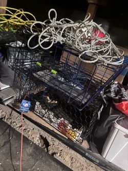 Crab trap