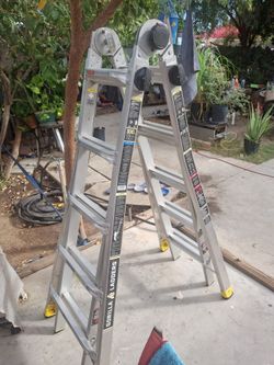 Gorilla ladder