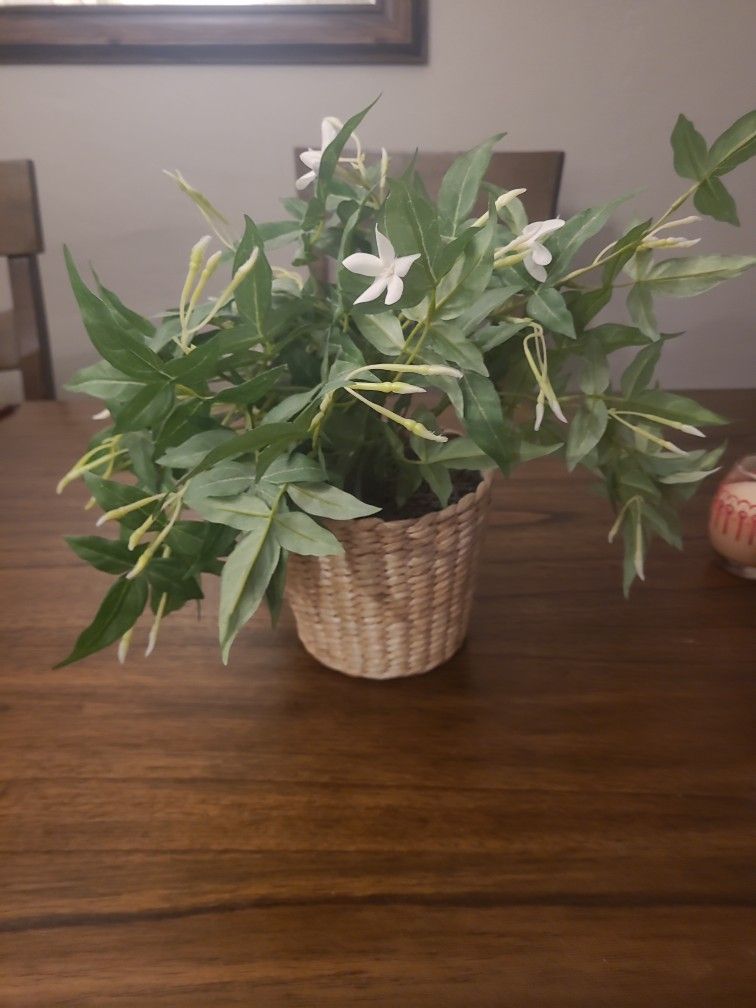 Fake Decorative Plant 