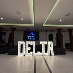 Marquee letters Delia quince birthday letters