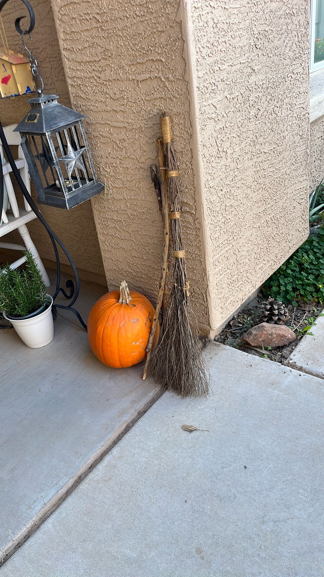 Branch Cinnamon Broom