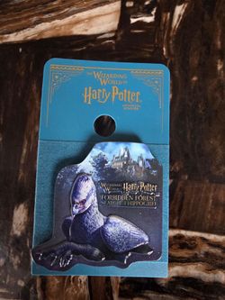 Universal studios hollywood harry potter pin