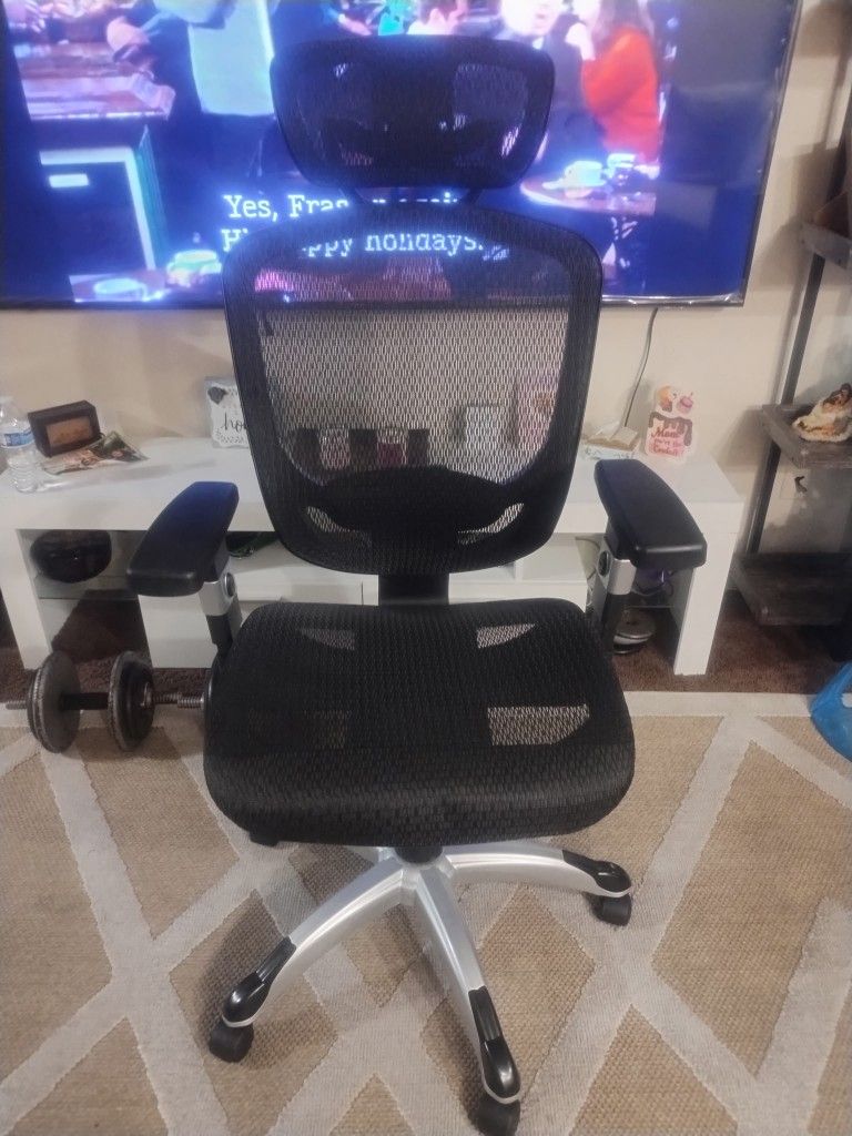 Hiking Office Chair