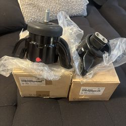 Veloster Engine Mounts